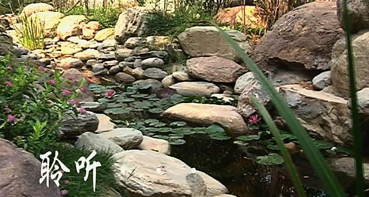 房地產(chǎn)宣傳片。建業(yè)集團(tuán)