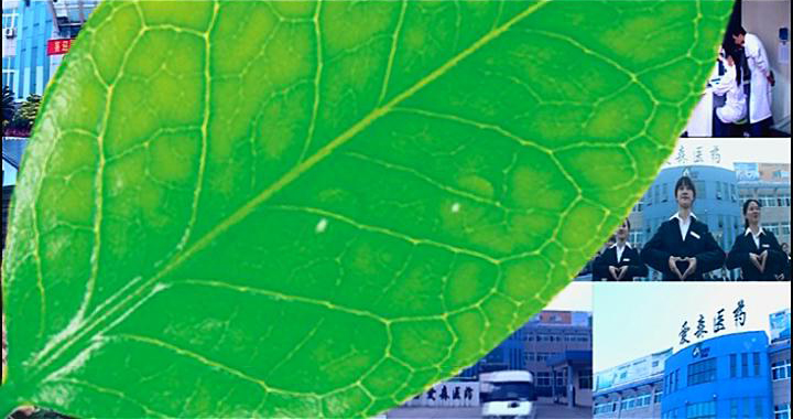 投標(biāo)片。愛(ài)森藥業(yè)