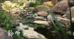 房地產(chǎn)宣傳片。建業(yè)集團(tuán)