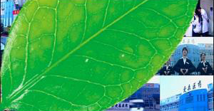 投標(biāo)片。愛森藥業(yè)