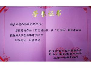 榮譽證書：《最美婚紗照》獲金獎